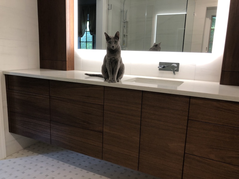 Walnut-vanity-master-suite